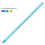 �������� �������������� BIC Evolution Stripes