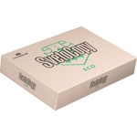 ������ SvetoCopy ECO (�4, ����� ��, 80 �/��.�, 500 �)