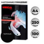 ������� ��� ��������� ��������� Promega office ���.�����4,250�/�2,100��/��.