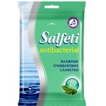 �������� ������� Salfeti �/��� ����������������� 20��./��.